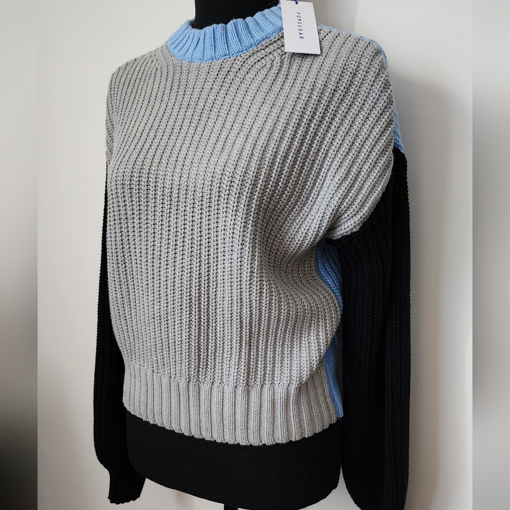 Chuncky Knit Cropped Sweater NWT Grunge Preppy Boho Womens L Blue Colorblock